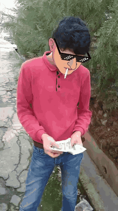 Money GIF