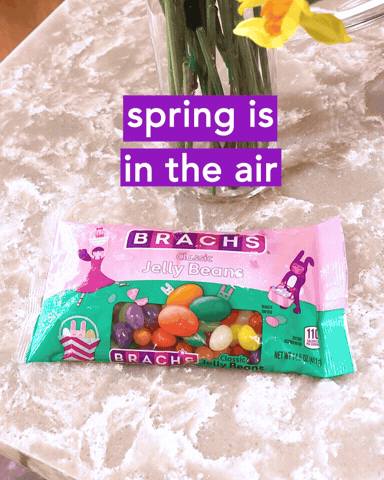 Jelly Beans Spring GIF by Brach's