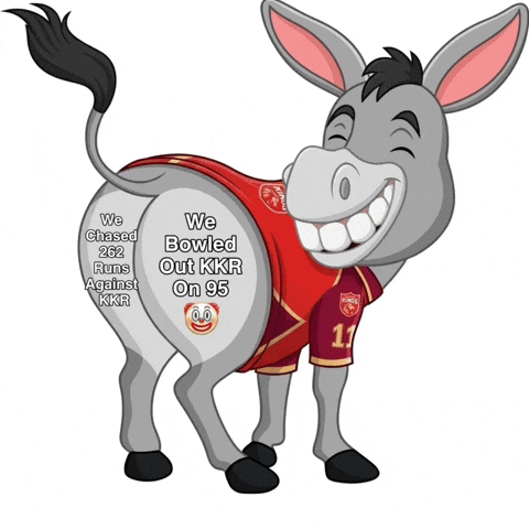 Kolkata Knight Riders Ipl GIF