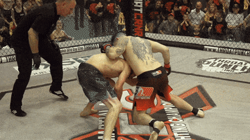 Winning Donald Cerrone GIF by New Line Cagefighting
