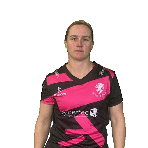 Point Step Sticker by Somerset County Cricket Club