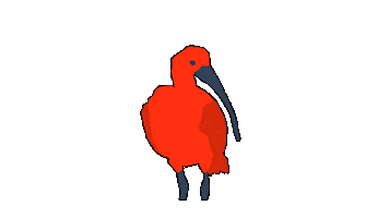 Bird Guaratuba Sticker by Guará Mapping Festival