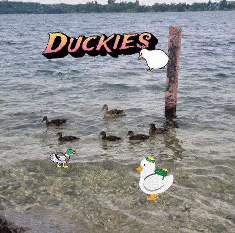Duck GIF