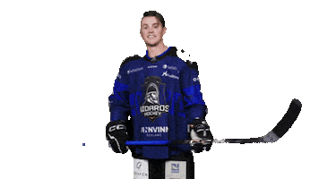 Happy Ice Hockey Sticker by Nidaros Hockey