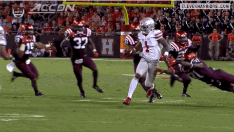 giphy.gif