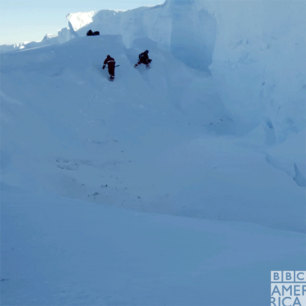 Penguin Setting Up GIF by BBC America