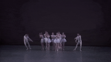 jerome robbins winter GIF by New York City Ballet