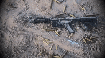 200.gif?cid=fc005b083bf899422e09f6ac6453678491c1b0dc55bf38fb&rid=200.gif&ct=g