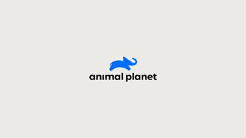 Animal Planet GIF