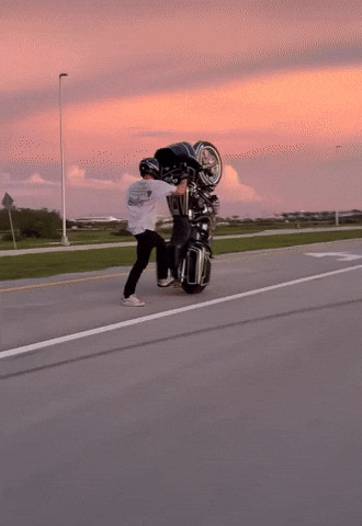 Sunnystunts GIF by Onlywheelies