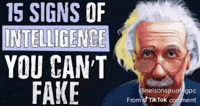 smart-15-signs-of-intelligence-7w0riFg5wXJnBWULe8