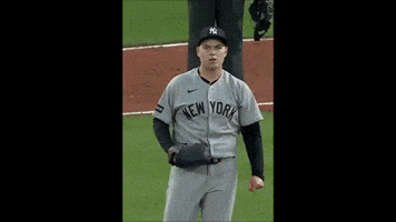 Yankees GIF