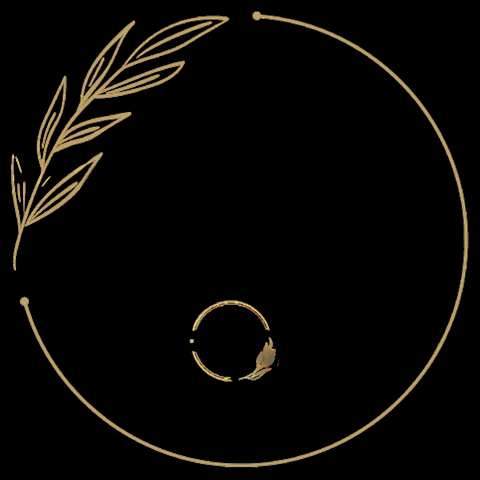 reviveskinandbodykc GIF