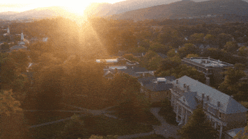 Summer City GIF by Roanoke College