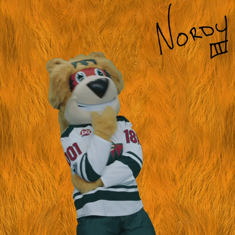 Minnesota Wild Shrug GIF by Nordy Wild