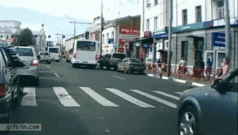 stops crosswalk GIF