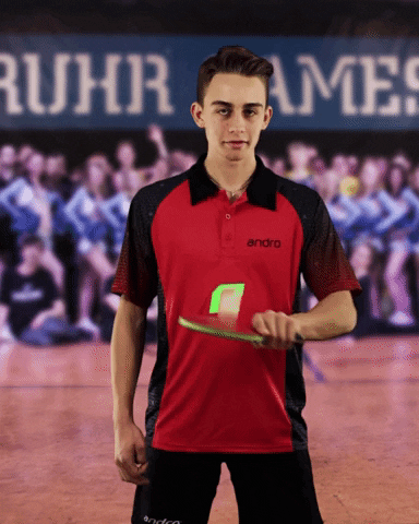 Table Tennis Pingpong GIF by Ruhr Games
