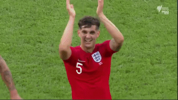 Three Lions Dance GIF