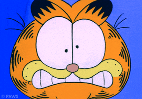 cat omg GIF by Garfield