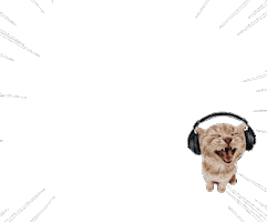 Youtube Instagram Sticker