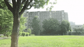 Mclennan Library Building GIF by McGill University Library