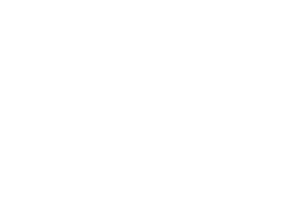 Fast Shipping Sticker