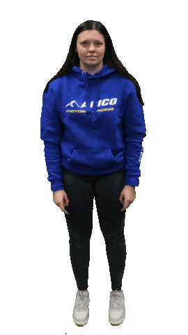 Point Trials Sticker by ApicoFactoryRacing