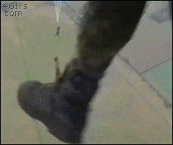 https://media2.giphy.com/media/81hgp3E9mwHn2/giphy.gif?cid=790b7611372da6cca95cd67f42d60f160c564462e8597f6d&rid=giphy.gif&ct=g