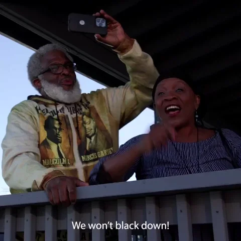 Black Voters Vote GIF
