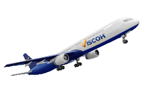 Aviao Sticker by viscoh