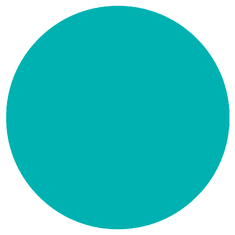 KalaraOrganiza Sticker