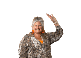 Alphen Aan Den Rijn Wow Sticker by Dessous