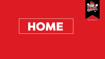 Nashua Silver Knights Baseball GIF