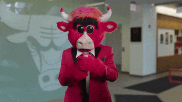 new year sport GIF by Chicago Bulls
