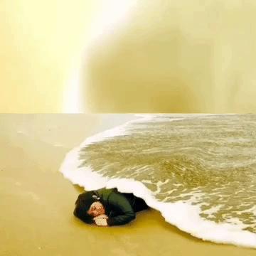 GIF by The Videobook