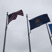 Waving Flags GIFs - Find & Share on GIPHY