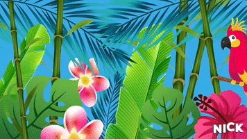 Summer Hawaianas GIF