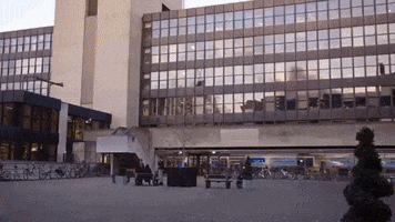 university college london GIF by UCL Institute of Education