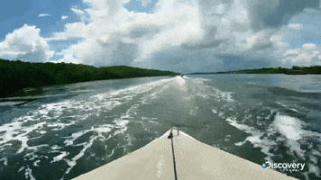 discovery channel survival GIF by Discovery Europe
