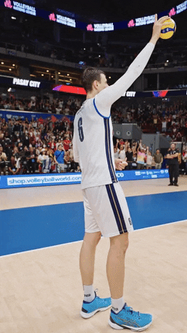 Ball Hello GIF by Volleyball World