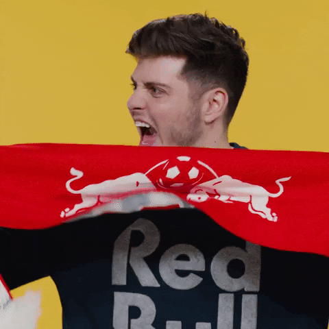 Lets Go Goal GIF by Red Bull