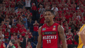 get up nba GIF by Perth Wildcats