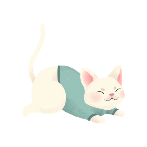 Cat Sticker
