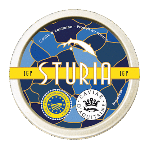 Gourmet Gastronomy Sticker by Caviar Sturia