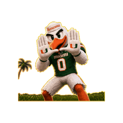 Miami Hurricanes Celebration Sticker