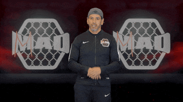 Battersea GIF by MMADen