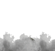 Sticker by Capetillo Gym