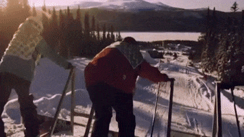 Lofsdalen winter competition skiing vinter GIF