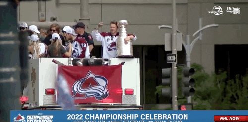 Colorado Avalanche Avalanche GIF - Colorado Avalanche Avalanche Stanley Cup  - Discover & Share GIFs