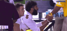 Asu GIF
